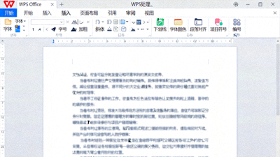 WPS Office 软件编辑文档的界面截图，展示文字处理和格式工具栏